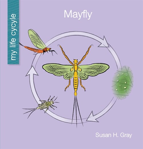 Mayfly (Paperback)