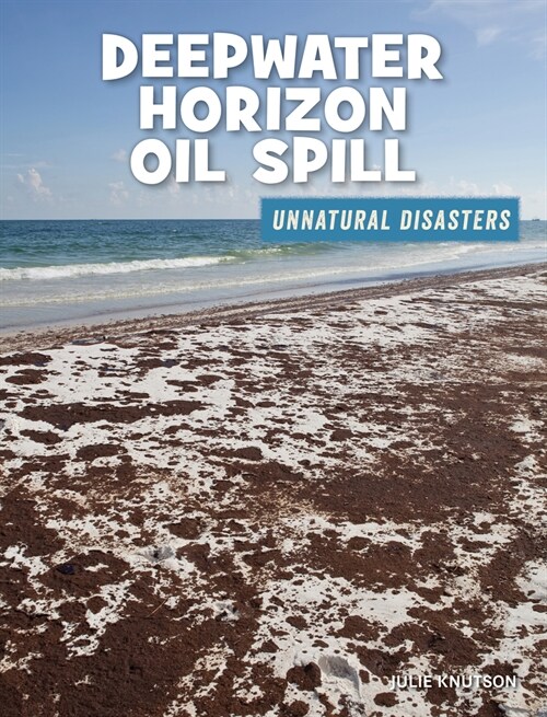 Deepwater Horizon Oil Spill (Paperback)