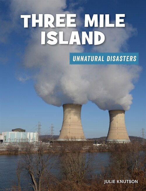 Three Mile Island (Paperback)