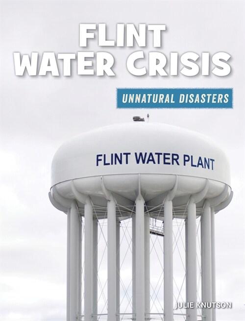 Flint Water Crisis (Paperback)