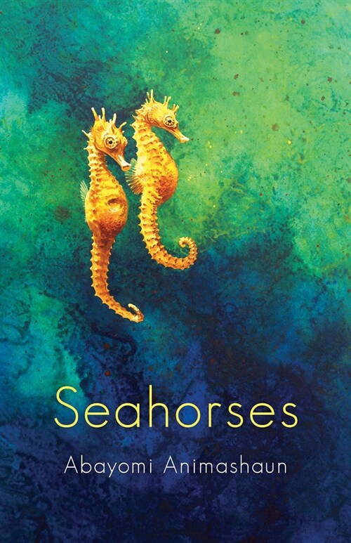 Seahorses (Paperback)