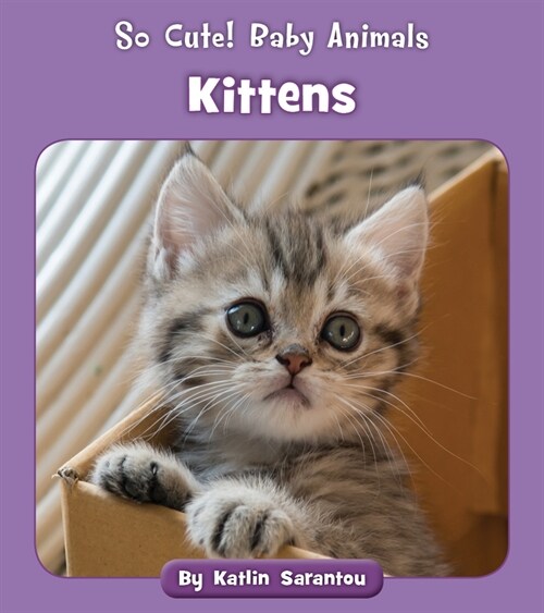 Kittens (Paperback)