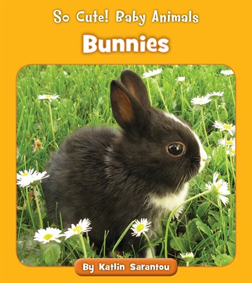 Bunnies (Paperback)