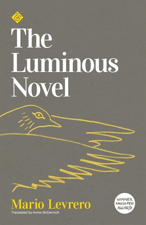 The Luminous Novel (Paperback)