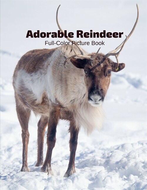 Adorable Reindeer Full-Color Picture Book: Deer Picture Book for Children, Seniors and Alzheimers Patients -Nature Animals Wildlife Deer Family (Paperback)