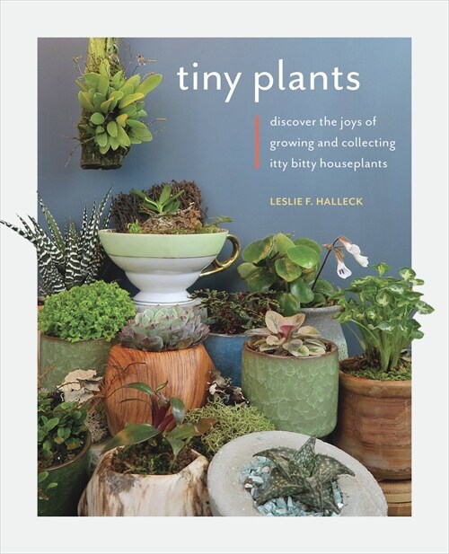 Tiny Plants: Discover the Joys of Growing and Collecting Itty-Bitty Houseplants (Paperback)