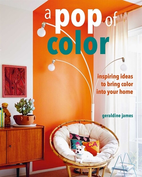 A Pop of Color : Inspiring Ideas to Bring Color into Your Home (Hardcover)