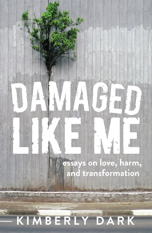 Damaged Like Me : Essays on Love, Harm and Transformation (Paperback)