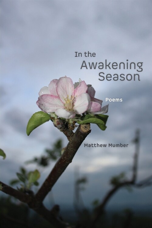 In the Awakening Season (Paperback)
