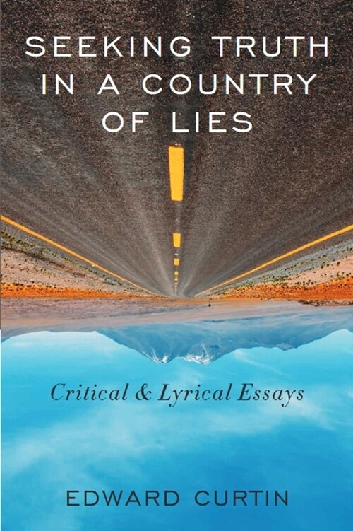 Seeking Truth in a Country of Lies: Critical & Lyrical Essays (Paperback)