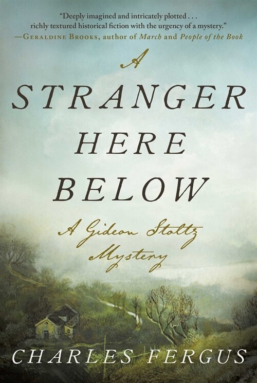 A Stranger Here Below: A Gideon Stoltz Mystery (Paperback)
