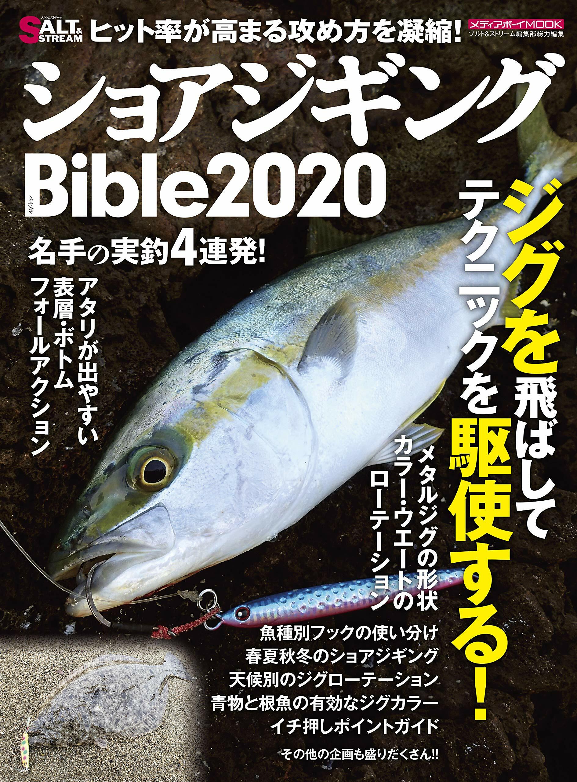 ショアジギングBible2020 (メディアボ-イMOOK SALT&STREAM)