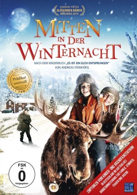 Mitten in der Winternacht, 1 DVD (DVD Video)