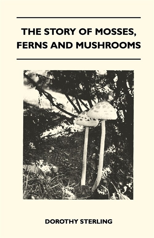The Story Of Mosses, Ferns And Mushrooms (Paperback)