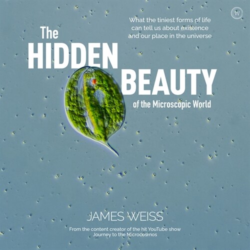 The Hidden Beauty of the Microscopic World : What the tiniest forms of life can tell us about existence and our place in the universe (Hardcover, New ed)