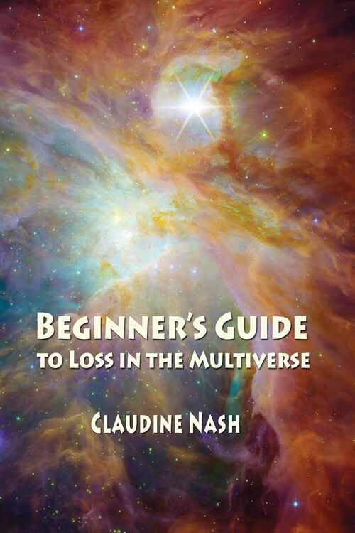 Beginners Guide to Loss in the Multiverse (Paperback)