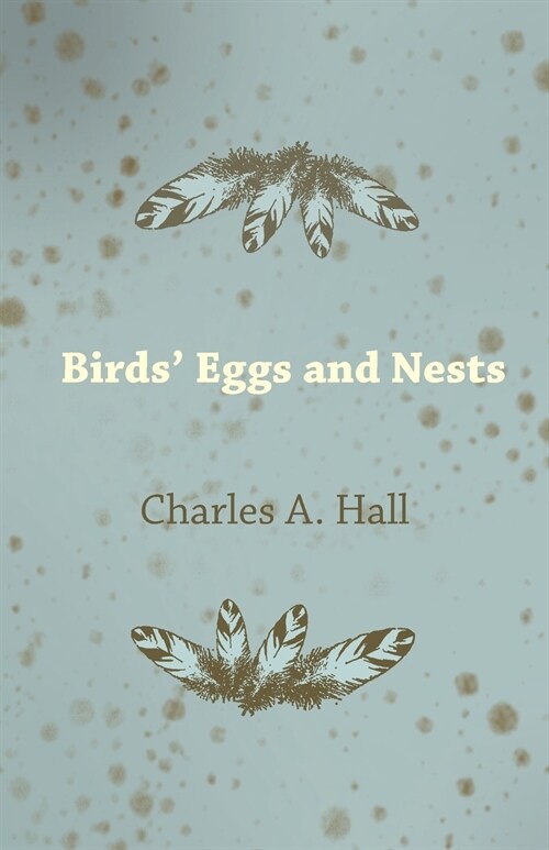 Birds Eggs and Nests (Paperback)