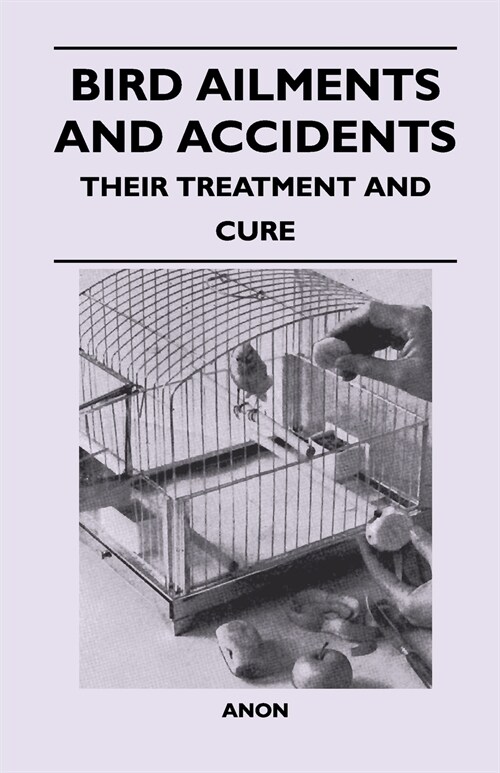 Bird Ailments and Accidents - Their Treatment and Cure (Paperback)
