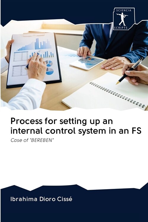 Process for setting up an internal control system in an FS (Paperback)