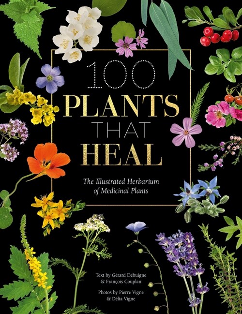 100 Plants that Heal : The illustrated herbarium of medicinal plants (Hardcover)