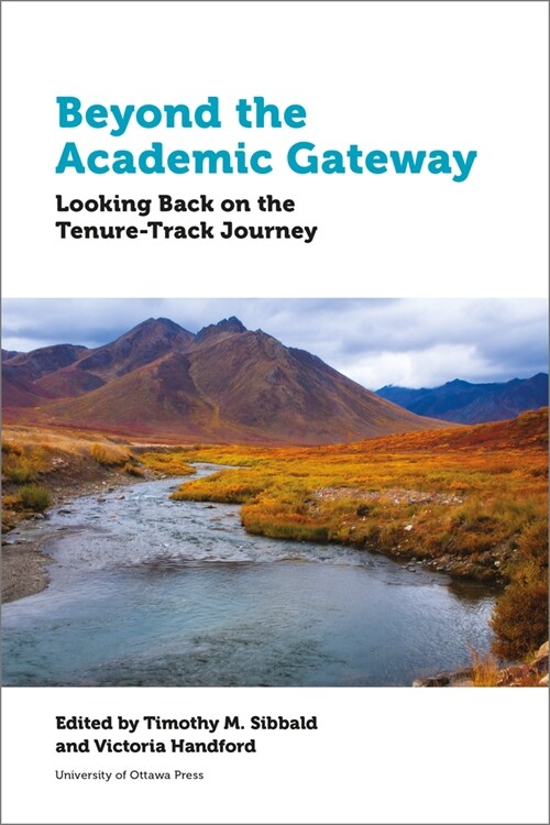 Beyond the Academic Gateway: Looking Back on the Tenure-Track Journey (Hardcover)
