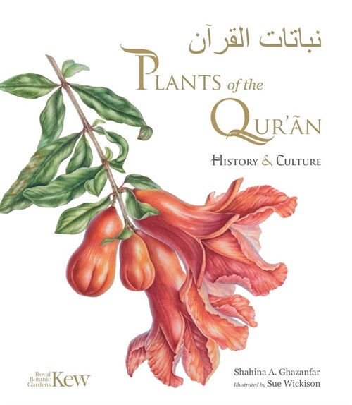 Plants of the Quran : History & culture (Hardcover)