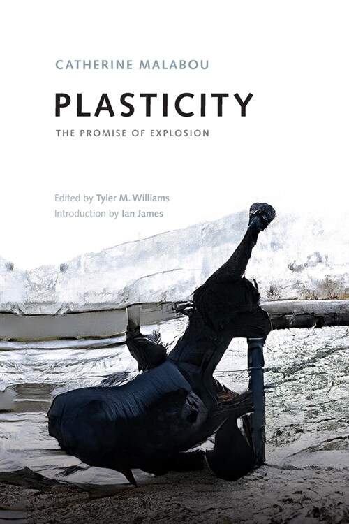 Plasticity : The Promise of Explosion (Paperback)