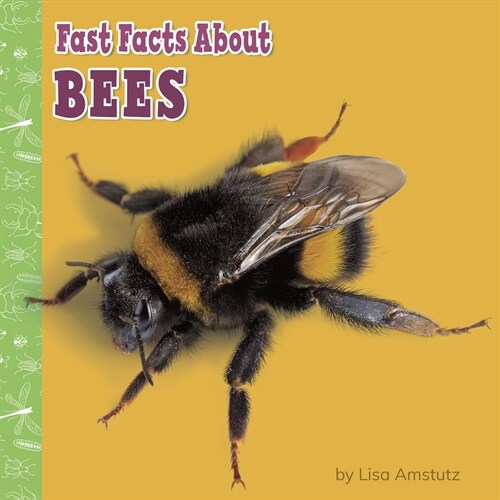Fast Facts about Bees (Paperback)