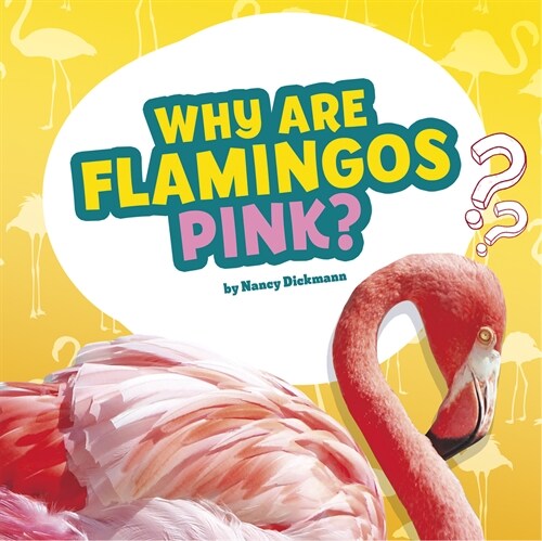 Why Are Flamingos Pink?: Answering Kids Questions (Paperback)