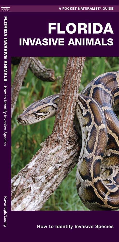Florida Invasive Animals: A Folding Pocket Guide to Familiar Animals (Paperback)