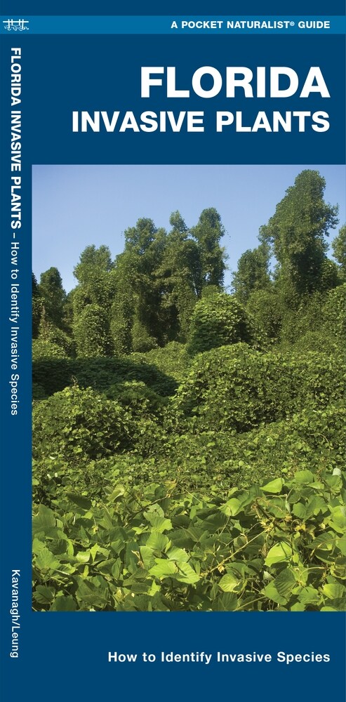 Florida Invasive Plants: A Folding Pocket Guide to Familiar Plants (Paperback)