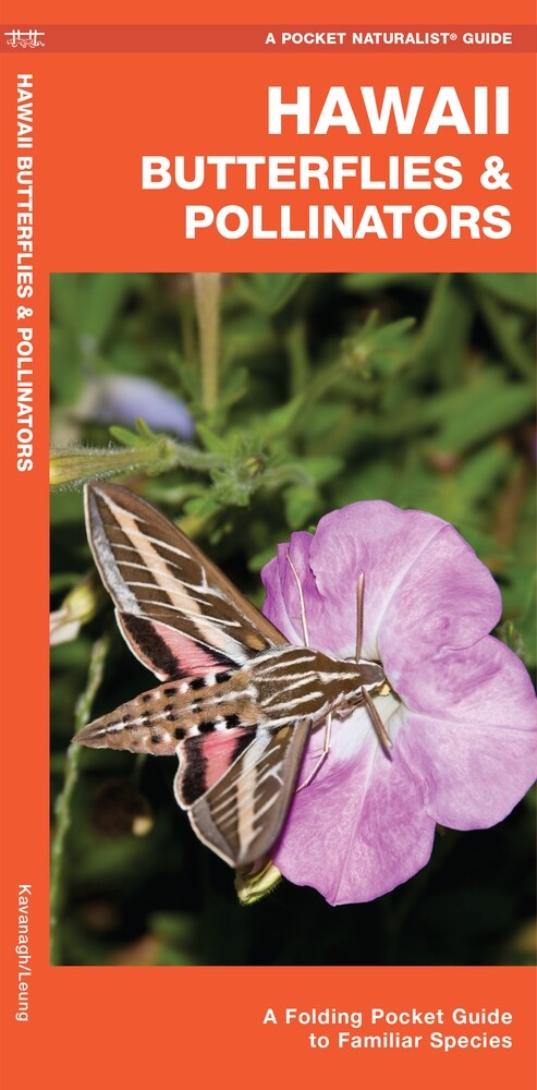 Hawaii Butterflies & Pollinators: A Folding Pocket Guide to Familiar Species (Paperback)