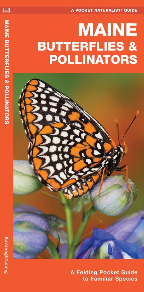 Maine Butterflies & Pollinators: A Folding Pocket Guide to Familiar Species (Paperback)