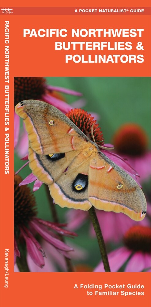 Pacific Northwest Butterflies & Pollinators: A Folding Pocket Guide to Familiar Species (Paperback)