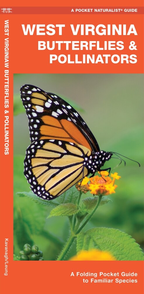 West Virginia Butterflies & Pollinators: A Folding Pocket Guide to Familiar Species (Paperback)