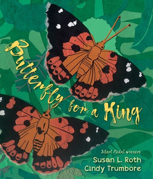Butterfly for a King: Saving Hawaiʻis Kamehameha Butterflies (Hardcover)