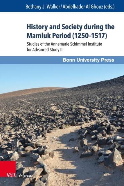 History and Society During the Mamluk Period (1250-1517): Studies of the Annemarie Schimmel Institute for Advanced Study III (Hardcover, 1.)