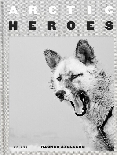 Arctic Heroes: A Tribute to the Sled Dogs of Greenland (Hardcover)