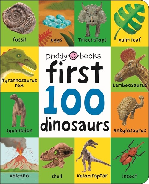 First 100: First 100 Dinosaurs (Board Books)