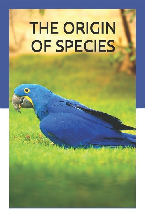 The Origin of Species (Paperback)