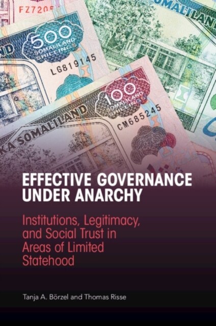 Effective Governance Under Anarchy : Institutions, Legitimacy, and Social Trust in Areas of Limited Statehood (Paperback)