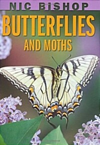 Nic Bishop: Butterflies and Moths (Hardcover)