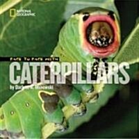Face to Face with Caterpillars (Paperback)
