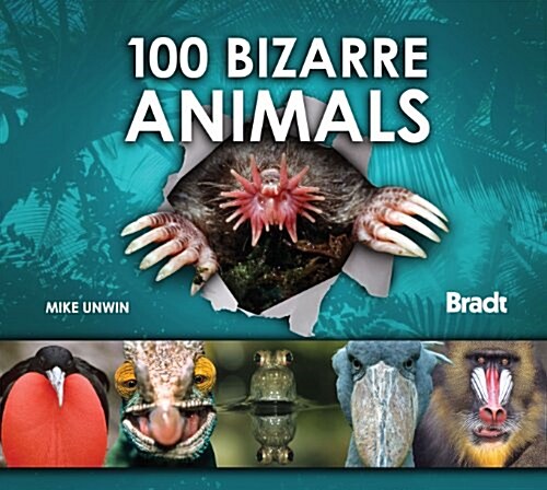 100 Bizarre Animals (Hardcover)