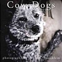 2010 Cow Dogs Calendar (Paperback, 1st, Wall)