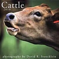 2010 Cattle Calendar (Paperback, 1st, Wall)