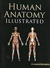 Human Anatomy Illustrated (Paperback, UK)