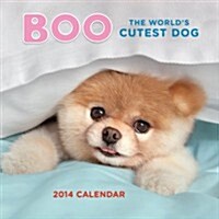 Boo the Worlds Cutest Dog 2014 Calendar (Paperback)