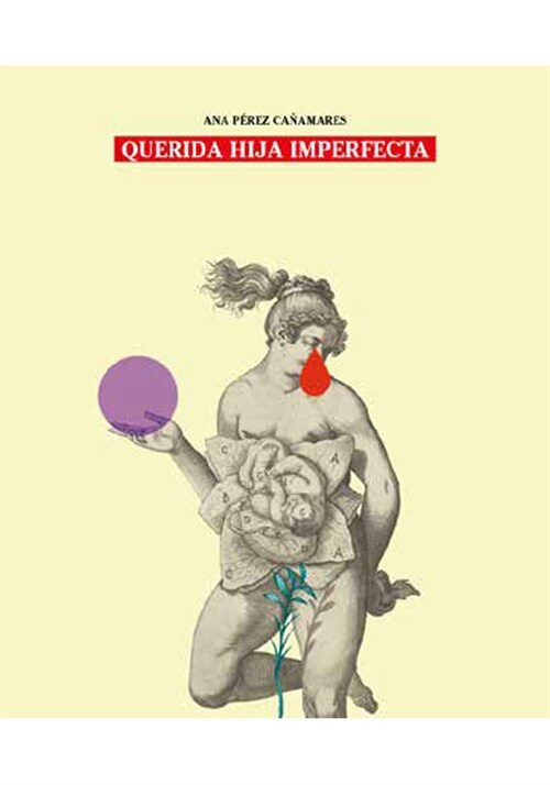 QUERIDA HIJA IMPERFECTA (Paperback)