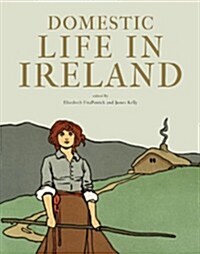 Domestic Life in Ireland: Proceedings of the Royal Irish Academy: V. 111: Section C: Volume 3 (Paperback)